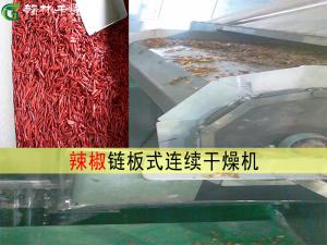 辣椒鏈板式連續干燥機